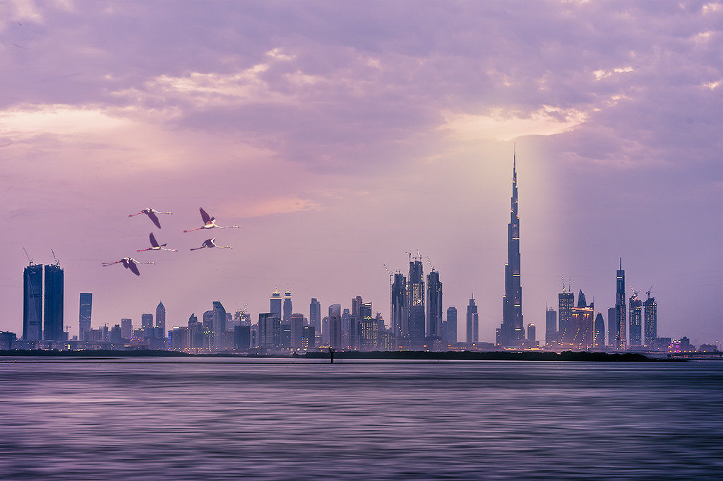 viaje a dubái
dubái
viaje a emiratos arabes