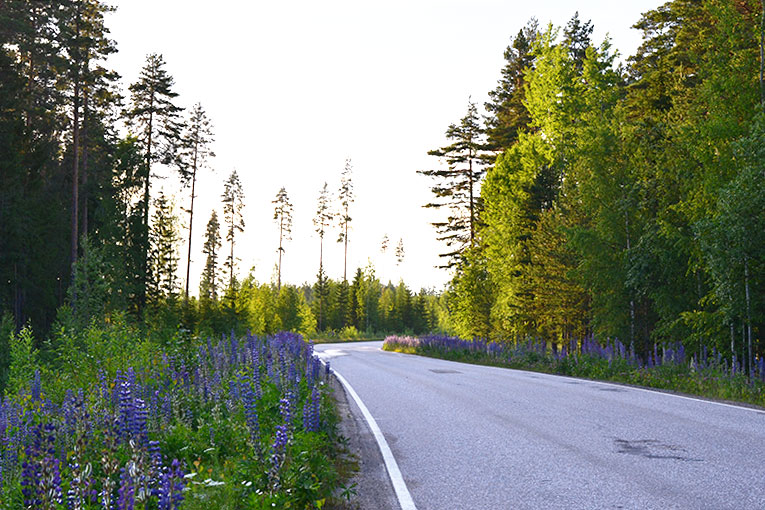 Derecho de libre tránsito en Finlandia
